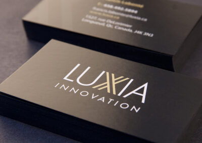 Luxia | Carte d&rsquo;affaires 2017